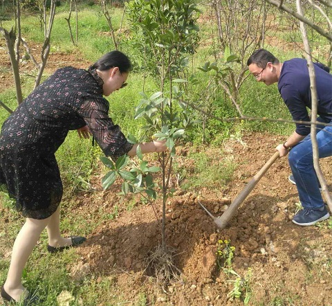 大家齐心协力一同植树3.JPG